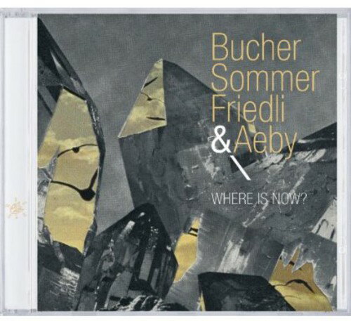 Michael Bucher / Patrick Sommer / Tobias Friedli