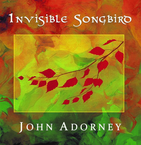 【取寄】John Adorney - Invisible Songbird CD アルバム 【輸入盤】
