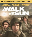A Walk in the Sun (4K Definitive Restoration) ブルーレイ 【輸入盤】