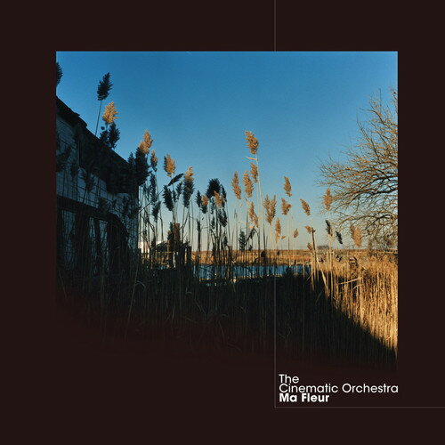 Cinematic Orchestra - Ma Fleur LP レコード 【輸入盤】