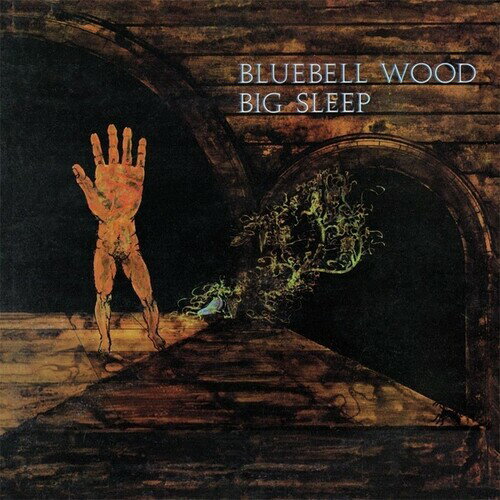 【取寄】Big Sleep - Bluebell Wood LP レコード 【輸入盤】
