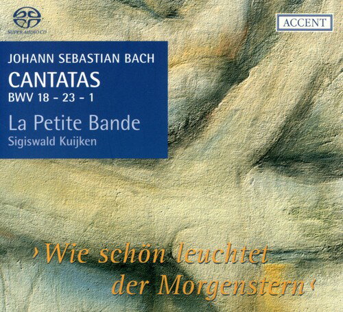 J.S. Bach / Thornhill / Noskaiova / Ullmann - Cantatas for the Complete Liturgical Year 6 SACD yAՁz
