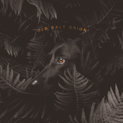 Old Salt Union - Where The Dogs Don't Bite CD アルバム 【輸入盤】