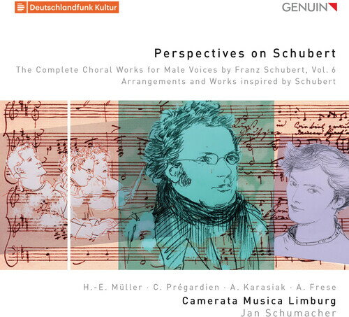 Perspectives on Schubert 6 / Various - Perspectives on Schubert 6 CD アルバム 【輸入盤】