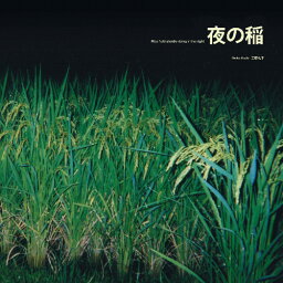 Reiko Kudo - Rice Field Silently Riping in the Night LP レコード 【輸入盤】