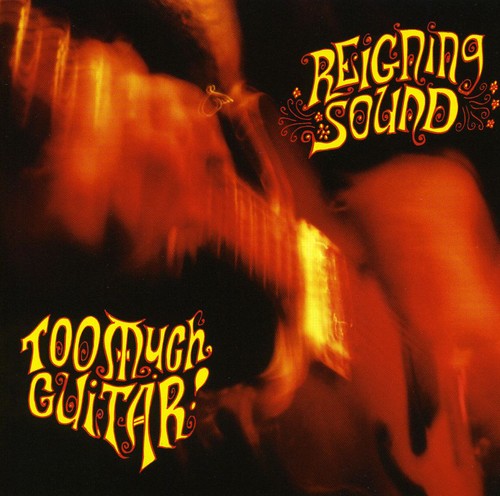 Reigning Sound - Too Much Guitar CD アルバム 【輸入盤】