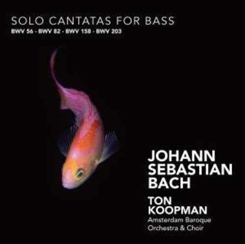 J.S. Bach / Mertens / Koopman - Solo Cantatas for Bass CD アルバム 【輸入盤】