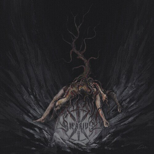 Sicarius - God Of Dead Roots LP R[h yAՁz