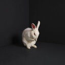Brume - Rabbits LP R[h yAՁz