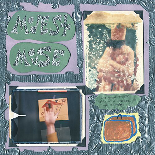 モデストマウス Modest Mouse - Sad Sappy Sucker LP レコード 