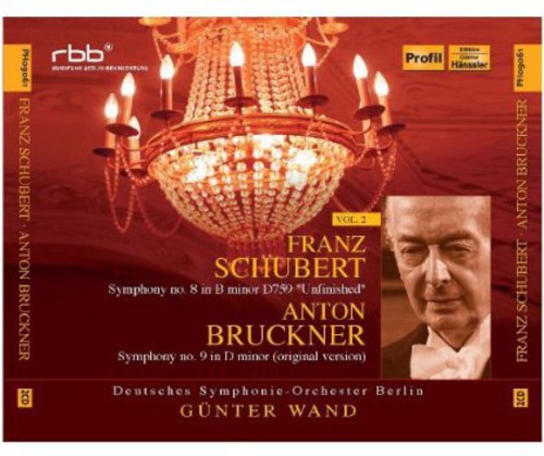 Schubert / Deutsches Symphonie Orchester Berlin - Schubert Bruckner 2: Symphony No 8  Symphony No 9 CD Х ͢ס