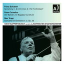 ◆タイトル: Hans Knappertsbusch Conducts◆アーティスト: Schubert◆アーティスト(日本語): シューベルト◆現地発売日: 2012/01/01◆レーベル: Archipelシューベルト Schubert - Hans Knappertsbusch Conducts CD アルバム 【輸入盤】※商品画像はイメージです。デザインの変更等により、実物とは差異がある場合があります。 ※注文後30分間は注文履歴からキャンセルが可能です。当店で注文を確認した後は原則キャンセル不可となります。予めご了承ください。[楽曲リスト]1.1 Symphony No. 8 in B minor, D 759, 'Unfinished' 1.2 Overture 1.3 Concerto for Orchestra No.3 Op. 50 1.4 Bad'ner Mad'ln Walzer, Op. 257 1.5 Die Schonbrunner Op.200 1.6 Militarmarsch in D 1.7 Intermezzo 1.8 Egyptischer Marsch Op. 335 1.9 Annen Polka, Op. 117 1.10 G'schichten Aus Dem Wienerwald, Op. 325 1.11 Rosen Aus Dem Suden, Op. 388 1.12 Pizzicato Polka 1.13 Aufforderung Zum Tanz Rondo Brilliant in D Flat J260