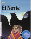 Criterion Collection: El Norte (Special Edition)