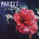 Pabzzz - After The Rain LP R[h yAՁz