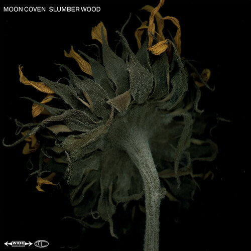 ◆タイトル: Slumber Wood◆アーティスト: Moon Coven◆現地発売日: 2021/05/21◆レーベル: Ripple MusicMoon Coven - Slumber Wood LP レコード 【輸入盤】※商品画像はイメージです。デザインの変更等により、実物とは差異がある場合があります。 ※注文後30分間は注文履歴からキャンセルが可能です。当店で注文を確認した後は原則キャンセル不可となります。予めご了承ください。[楽曲リスト]1.1 Further 1.2 Ceremony 1.3 G?bekli Tepe-Potbelly Hill 1.4 Eye of the Night 1.5 A Tower of Silence 1.6 Bahgsu Nag 1.7 Seagull 1.8 My Melting MindSweden's Moon Coven are back with their bewitching and captivating blend of psychedelic stoner rock and doom metal. Ripple Music are thrilled beyond words in welcoming them to the family.