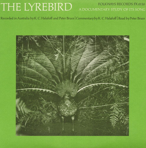 P. Bruce - The Lyrebird: A Documentary Study of It's Song CD アルバム 【輸入盤】
