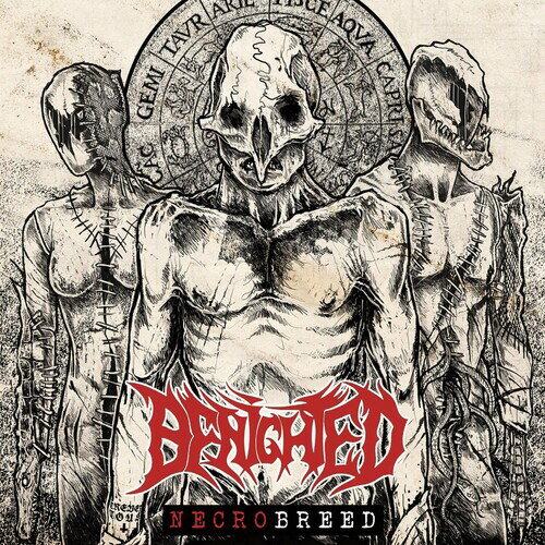 【取寄】Benighted - Necrobreed LP レコード 【輸入盤】