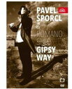 Gipsy Way DVD 【輸入盤】