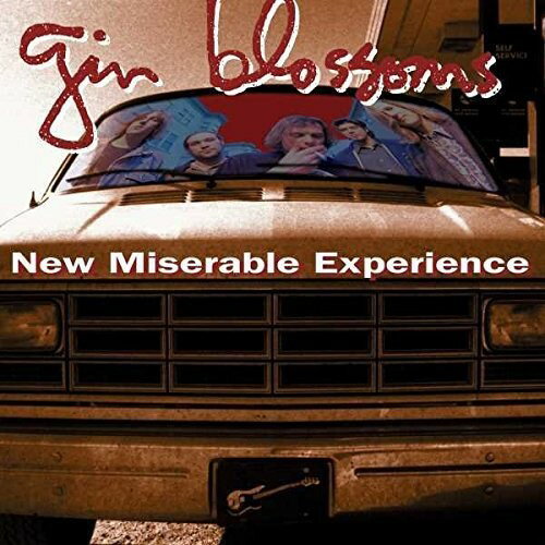 Gin Blossoms - New Miserable Experience LP レコード 【輸入盤】