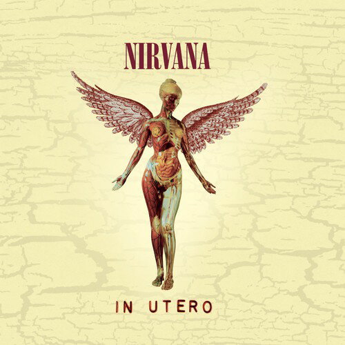 ニルヴァーナ Nirvana - In Utero (20th Anniversary Edition) CD アルバム 【輸入盤】