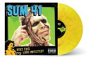 Sum 41 - Does This Look Infected (Green Swirl Vinyl 180g) LP レコード 【輸入盤】