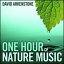 David Arkenstone - One Hour of Nature Music CD Х ͢ס