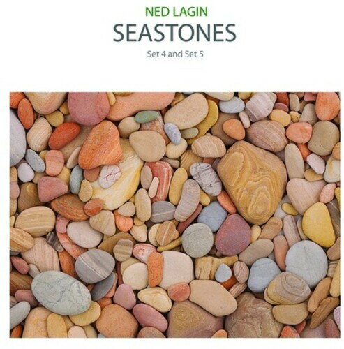Ned Lagin - Seastones: Set 4 ＆ Set 5 LP レコード 【輸入盤】