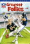 NFL Greatest Follies 3 DVD ͢ס