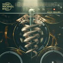 Todd Michael Hall - Sonic Healing LP レコード 【輸入盤】