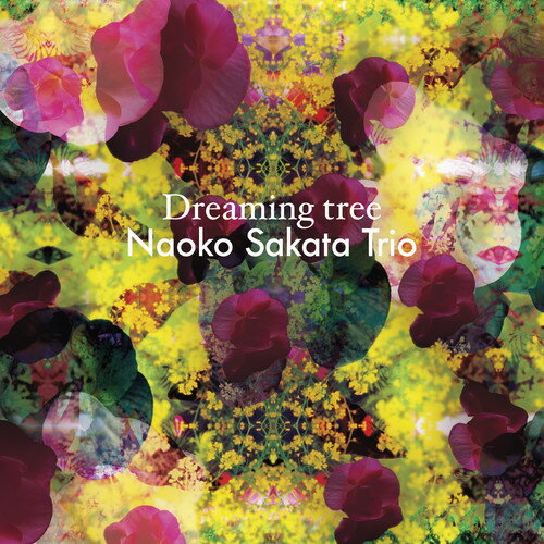 Various / Various - Dreaming Tree CD Ao yAՁz