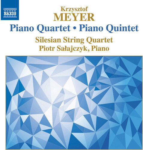Meyer / Silesian String Quartet / Salajczyk - Piano Quartet Op. 112 - Piano Quintet Op. 66 CD アルバム 