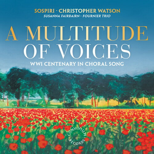 Multitude of Voices / Various - Multitude of Voices CD Ao yAՁz