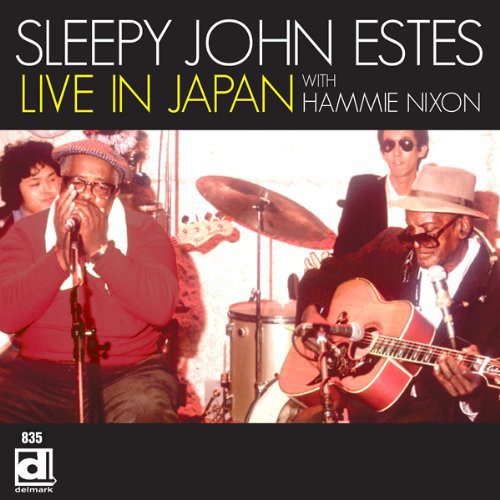 Sleepy John Estes - Live in Japan with Hammie Ni