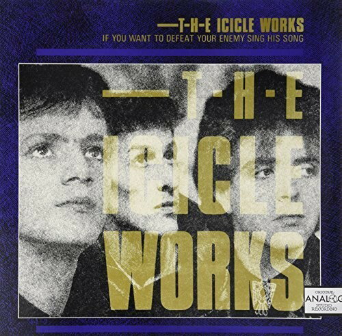 Icicle Works - If You Want to Defeat Your Enemy LP 쥳 ͢ס