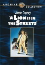 A Lion Is in the Streets DVD 【輸入盤】