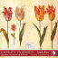 Scarlatti / Cappella Musicale San Grato / Colombot - Gaude Flore: Italian Music of the 17th  18th Century CD Х ͢ס