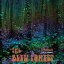 Bleu Forest - Ichiban - Live At Jimmie's CD Х ͢ס