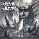 ◆タイトル: Trial◆アーティスト: Goddamn Gallows◆現地発売日: 2018/10/19◆レーベル: Sailor's GraveGoddamn Gallows - Trial LP レコード 【輸入盤】※商品画像はイメージです。デザインの変更等により、実物とは差異がある場合があります。 ※注文後30分間は注文履歴からキャンセルが可能です。当店で注文を確認した後は原則キャンセル不可となります。予めご了承ください。[楽曲リスト]1.1 Grassmuncher 1.2 Blackened Soul 1.3 It's Gonna Be Ok (No, It's Not) 1.4 Shitwish 1.5 When No One's Around 1.6 The Trial 1.7 City of Fools 1.8 Honeyhole 1.9 Dreadful Sinner 1.10 Down with the ShipIn 2004, THE Goddamn Gallows began their rough and tumble voyage and haven't looked in the review mirror since. Leaving six studio albums in their path, they have been reinventing their music with every record. Spit from the heart of America's Rust Belt, arising from a night of flophouse violence. Drifting across the states, they cemented their sound in Portland, OR and later in Los Angeles, CA, where they lived in abandoned buildings, squatter camps, storage units and shoebox apartments. In 2007, they left everything behind and spent the next four years living out of whatever vehicle would get them to the next town. Building upon their original sound of twanged-out, punk rock gutterbilly (Life of Sin 2004 and Gutterbillyblues 2007), they began picking up stray musicians along the way and adding to their sound; washboard, accordion, mandolin and banjo (Ghost of th Rails 2009 and 7 Devils 2011) creating a sound referred to as hobocore, gypsy-punk or americana-punk, while never being stuck in any one sound. Enter 2018 and THE Goddamn Gallows have reinvented themselves once again with The Trial. From rockabilly, psychobilly and punk rock, to bluegrass and metal, The Trial infuses disparate sounds into a new strange recipe of seamless genre bending profundities. Chock full of impromptu antics of the shocking variety and hauntingly eclectic instrumentation, THE Goddamn Gallows have made legions of fans with their legendary, live shows. THE Goddamn Gallows have now partnered with Sailor's Grave Records to help deliver the next chapter of their legacy to the world. The Trial begins now.