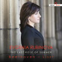 【取寄】Beethoven / Rubinova - Last Rose of Summer CD アルバム 【輸入盤】