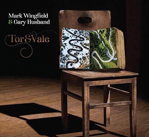 Mark Wingfield ＆ Gary Husband - Tor ＆ Vale CD アルバム 