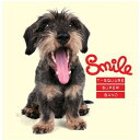 【取寄】T Square Super Band - Smile CD アルバム 【輸入盤】