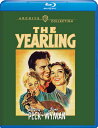 ◆タイトル: The Yearling◆現地発売日: 2021/05/11◆レーベル: Warner Archives◆その他スペック: オンデマンド生産盤*/英語字幕収録*フォーマットは基本的にCD-R等のR盤となります。 輸入盤DVD/ブルーレイについて ・日本語は国内作品を除いて通常、収録されておりません。・ご視聴にはリージョン等、特有の注意点があります。プレーヤーによって再生できない可能性があるため、ご使用の機器が対応しているか必ずお確かめください。詳しくはこちら ◆収録時間: 128分※商品画像はイメージです。デザインの変更等により、実物とは差異がある場合があります。 ※注文後30分間は注文履歴からキャンセルが可能です。当店で注文を確認した後は原則キャンセル不可となります。予めご了承ください。Life abounds in the 1870s Florida scrubland that's home to young Jody Baxter. There are bears to hunt, cash crops to plant, evenings of storytelling with Pa and Ma. And there are timeless lessons of love and letting go that Jody learns from Flag, the orphaned pet fawn that follows him around with devotion. From Marjorie Kinnan Rawlings' Pulitzer Prize-winning novel, and sensitively directed by Clarence Brown (National Velvet), The Yearling is superb family entertainment that knows well what a shiny harmonica means to a lonely boy or what a six-day rain means to hard-luck farmers. Gregory Peck, Jane Wyman and Claude Jarman, Jr. Play the Baxters in a resplendent film nominated for seven Academy Awards and the winner of two, plus a Special Award for the year's Outstanding Child Actor to young Jarman. SPECIAL FEATURES: Screen Guild Players Radio Broadcast; Cartoon Cat Concerto; Theatrical TrailerThe Yearling ブルーレイ 【輸入盤】