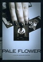 Pale Flower (Criterion Collection) DVD yAՁz