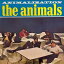 Animals - Animalization LP レコード 【輸入盤】