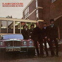 フレイミングルーヴィーズ Flamin 039 Groovies - Shake Some Action LP レコード 【輸入盤】