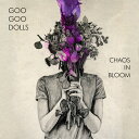 ◆タイトル: Chaos In Bloom◆アーティスト: Goo Goo Dolls◆アーティスト(日本語): グーグードールズ◆現地発売日: 2023/01/13◆レーベル: Warner Recordsグーグードールズ Goo Goo Dolls - Chaos In Bloom LP レコード 【輸入盤】※商品画像はイメージです。デザインの変更等により、実物とは差異がある場合があります。 ※注文後30分間は注文履歴からキャンセルが可能です。当店で注文を確認した後は原則キャンセル不可となります。予めご了承ください。[楽曲リスト]1.1 Yeah, I Like You 1.2 War 1.3 Save Me from Myself 1.4 Let the Sun 1.5 Loving Life 2.1 Going Crazy 2.2 Day After Day 2.3 Past Mistakes 2.4 You Are the Answer 2.5 Superstar