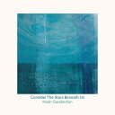 Noah Garabedian - Consider The Stars Beneath Us CD アルバム 