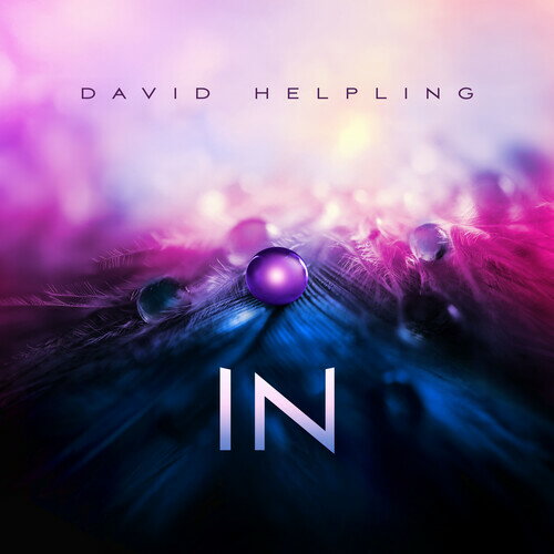 David Helpling - In LP レコード 【輸入盤】