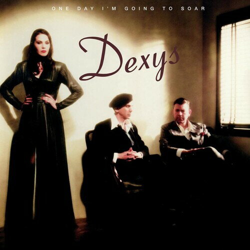 ◆タイトル: One Day I'm Going To Soar◆アーティスト: Dexys◆現地発売日: 2022/11/25◆レーベル: BMG Rights ManagemenDexys - One Day I'm Going To Soar LP レコード 【輸入盤】※商品画像はイメージです。デザインの変更等により、実物とは差異がある場合があります。 ※注文後30分間は注文履歴からキャンセルが可能です。当店で注文を確認した後は原則キャンセル不可となります。予めご了承ください。[楽曲リスト]Vinyl LP pressing. Fourth studio album by the band formerly known as Dexys Midnight Runners. Their first album since 1985's 'Don't Stand Me Down', it has been well received by critics and includes the singles 'She Got a Wiggle' and 'Free'.