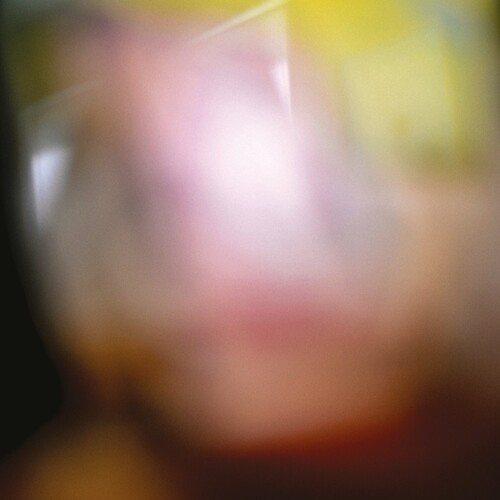 Twinkle3 / David Sylvian / Kazuko Hohki - Upon This Fleeting Dream LP レコード 【輸入盤】